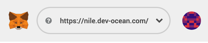 MetaMask connected to Nile