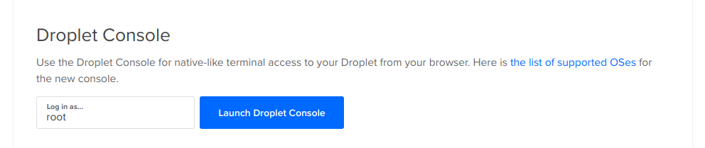 Click Launch Droplet Console