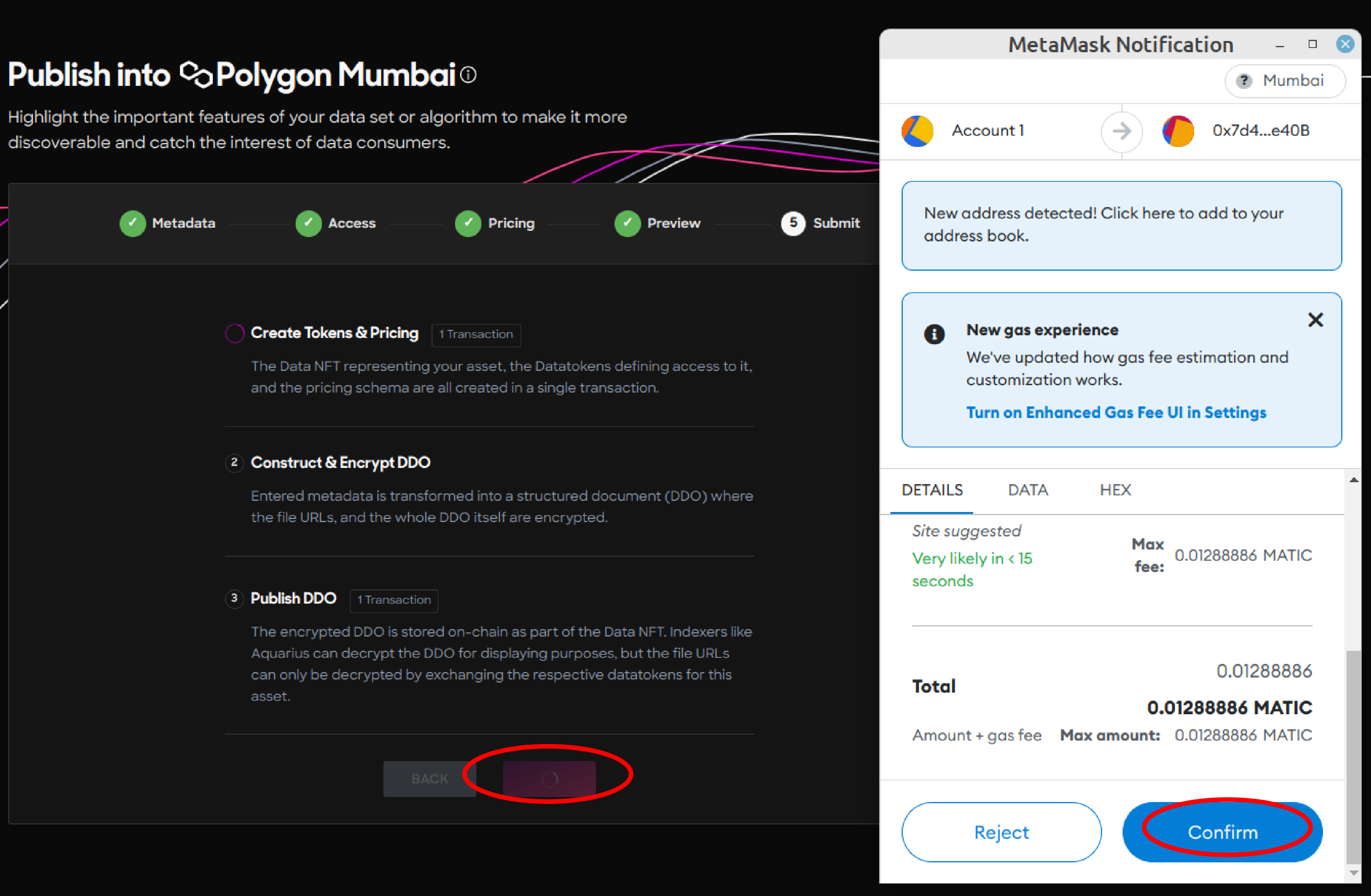 Transaction 1 - Deploy data NFT and datatoken